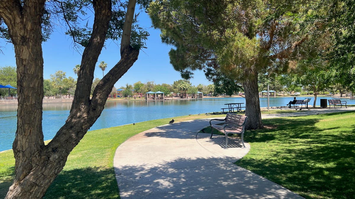 Desert Breeze Park